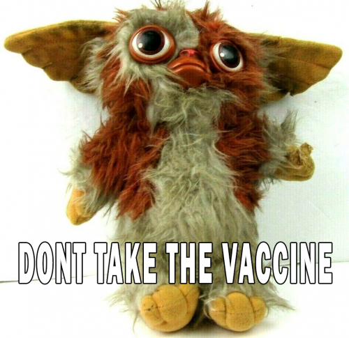 Don-t_Take_The_Vaccine.png