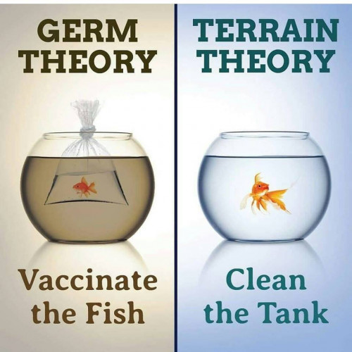 Germ_Theory_vs_Terrain_Theory.jpg