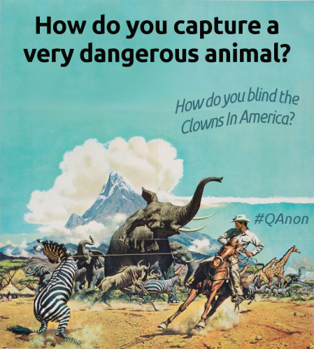 QPamphlet_Capture_Dangerous_Animal_Blind_CIA.png