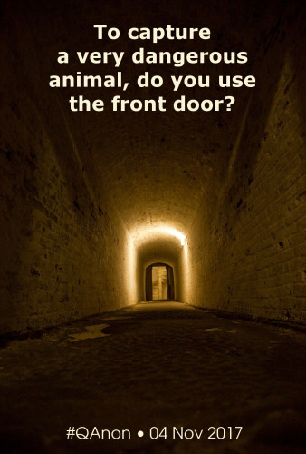 QPamphlet_Capture_Dangerous_Animal_Front_Door.jpg