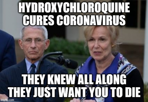 HCQ_Cures_Coronavirus_They_Knew_All_Along.png