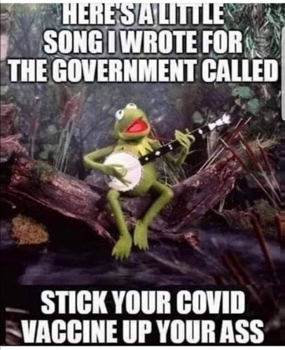 Stick_Vaccine_Up_Ass_Kermit.jpg