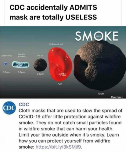 CDC_Admits_Masks_Are_Useless.jpg