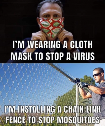 Virus_Mask_Fence_Mosquitoes.png