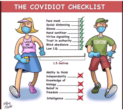 Covidiot_Checklist.png