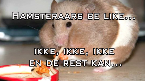 Hamsteraars_Ikke_Ikke.png