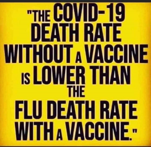 COVID_Death_Rate_Lower_Than_Flu_With_Vaccine.png