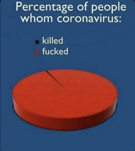 Percentage_Coronavirus_Killed_Fucked.png