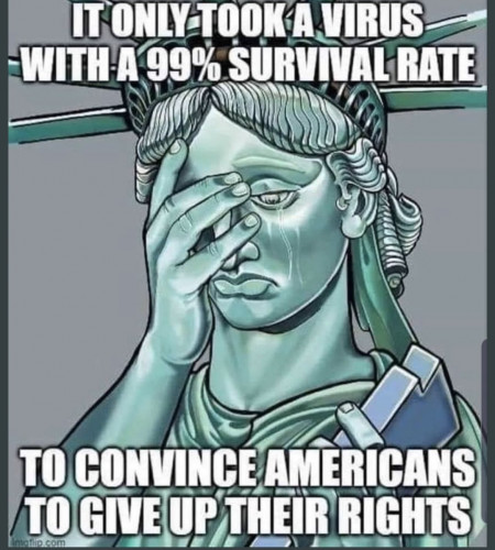 Statue_Of_Liberty_Wept_Virus_99pct_Survival_Rate.jpg