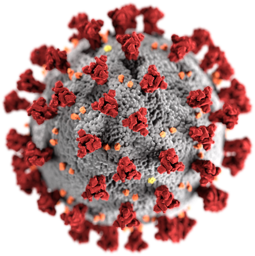 COVID19_virus.png