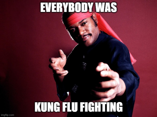 Kung_Flu_Fighting.png