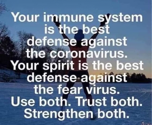 Immune_System_Spirit_Defense_Coronavirus_Fear.png