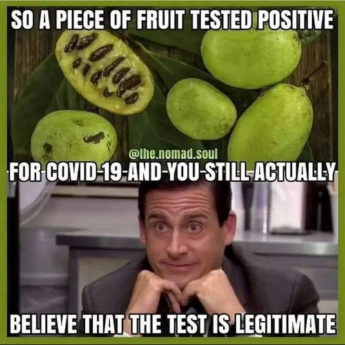 Pawpaw_Fruit_Tested_Positive.png