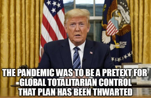 PlannedDemic_Thwarted_Trump.jpg
