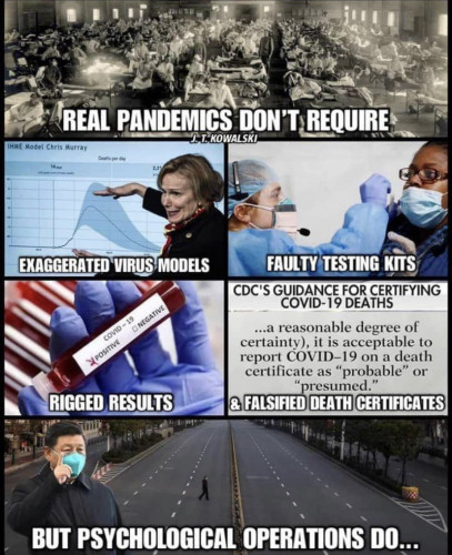 Real_Pandemics_vs_Psyops.jpg