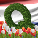 Q_letter_NL_tulips.png