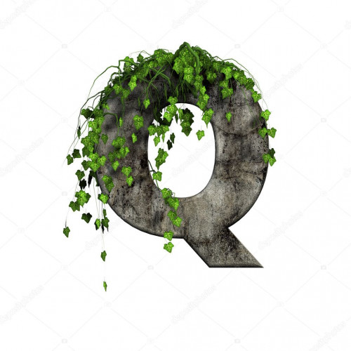 Q_letter_Stone_Ivy.jpg