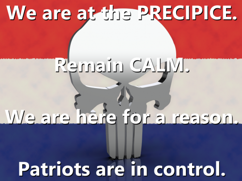 Punisher_NL_flag_Patriots_In_Control.png