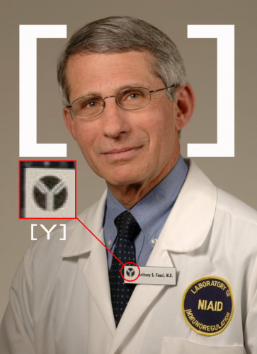 fauci-y.png
