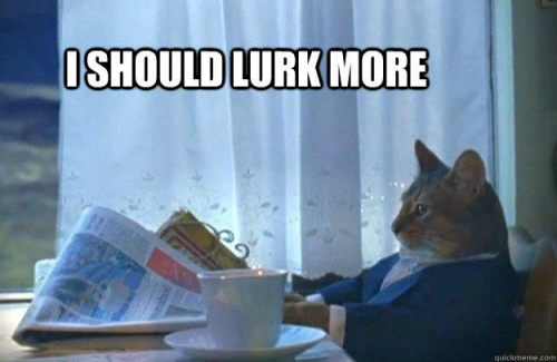 Lurk_More_Cat.png