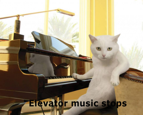 Music_Cat_Elevator_Music_Stops.png