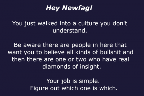 Newfag_Warning.png