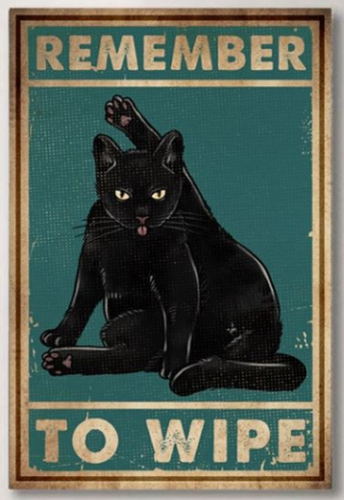 Remember_To_Wipe.png
