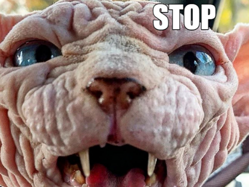 Stop.png