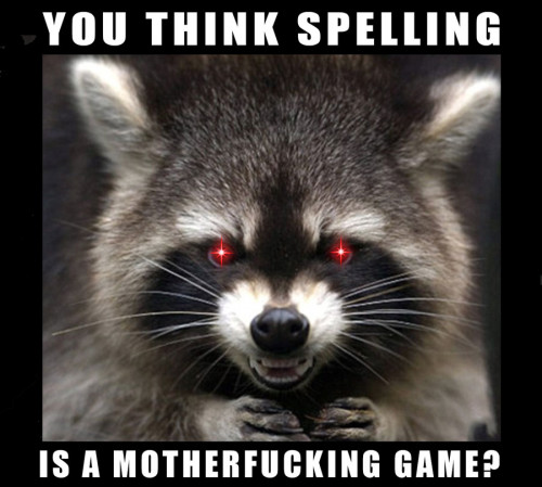 You_Think_Spelling_Is_A_MF_Game.jpg