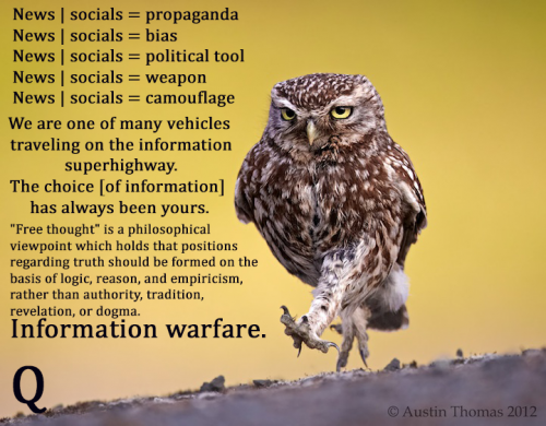 Information_Warfare_Q.png