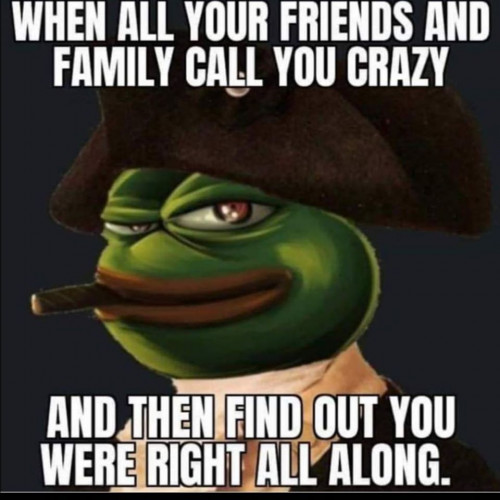 Pepe_When_All_Your_Friends_Call_You_Crazy_Right_All_Along.jpg