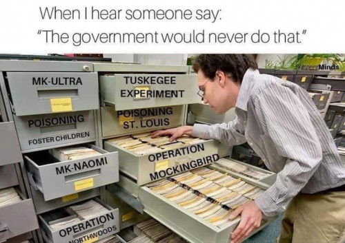 Gov_Never_Do_That_Mockingbird_MK-Ultra_etc.jpg