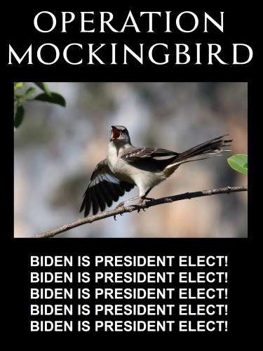 Mockingbird_Biden_President_elect.jpg