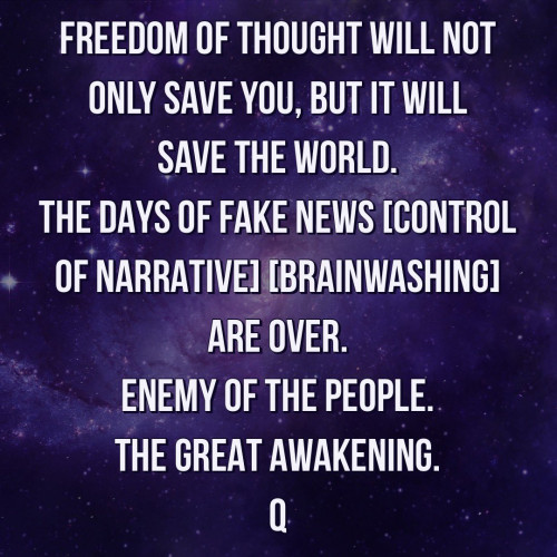 Fake_News_Brainwashing_Enemy_Of_The_People_Q.jpg