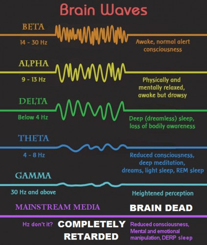 MSM_Brain_Waves.jpg