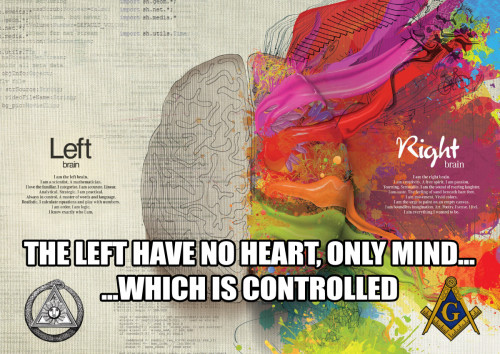 Left_vs_Right_Brain.jpg