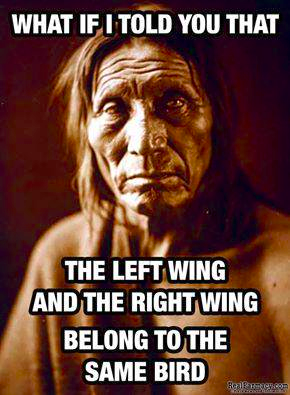 Left_Wing_Right_Wing_Same_Bird.png