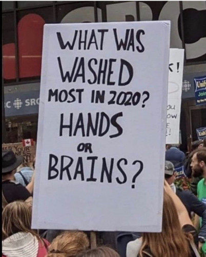 2020_Washed_More_Hands_Or_Brains.jpg