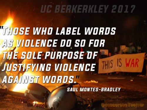 Words_vs_Violence.png