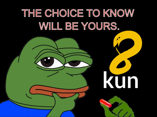 8kun_pepe_Choice_Yours.jpg