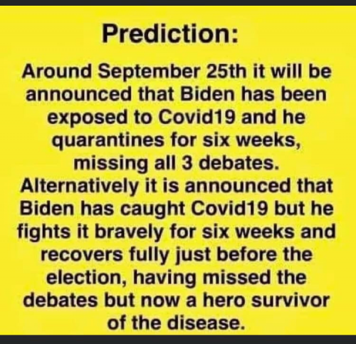 Biden_Covid_Prediction.png