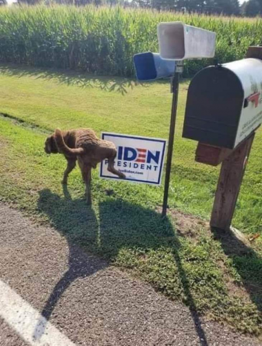 Biden_Dog_Pissing.png