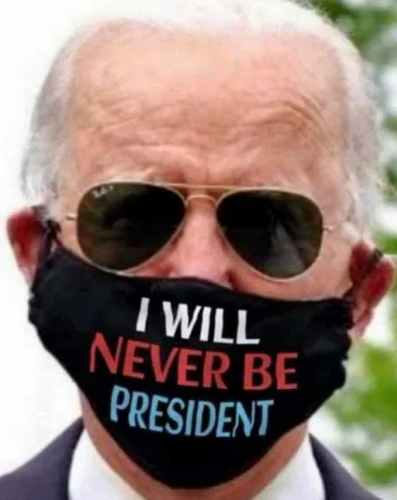 Biden_Facemask_Never_President.png
