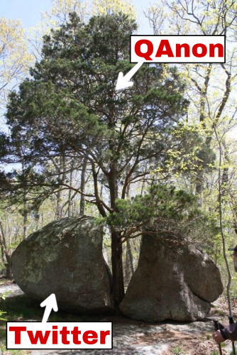 Twitter_Rock_Split_By_Tree_QAnon.png