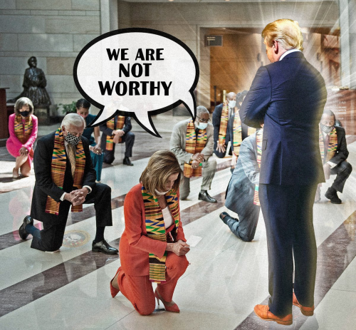 Dems_Kneel_Before_Trump.png
