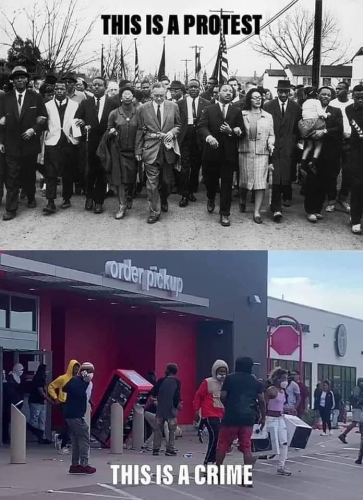 MLK_BLM_Protest_Looting_Crime.png
