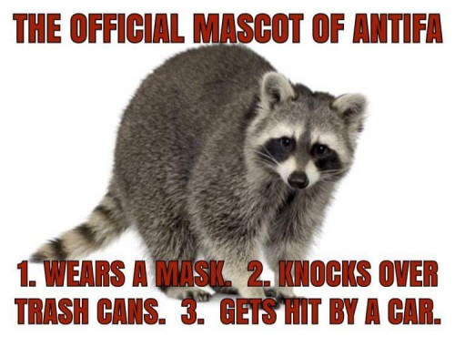 Antifa_Mascot.jpg