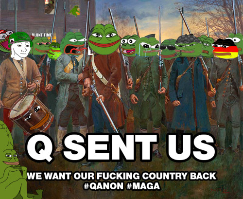 Q_Sent_Us_We_Want_Our_Country_Back_patriot_pepes.jpg
