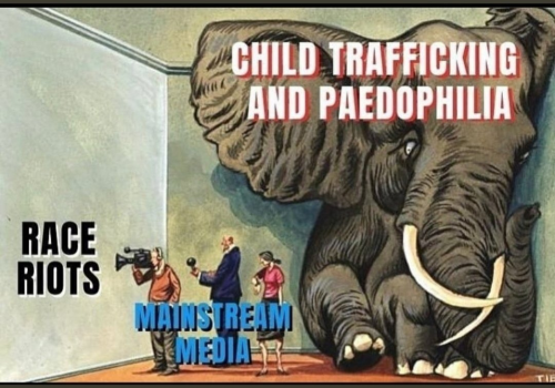 Child_Trafficking_Pedophilia_Elephant_In_Room.png
