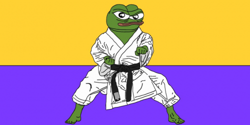 pepe-judo.png